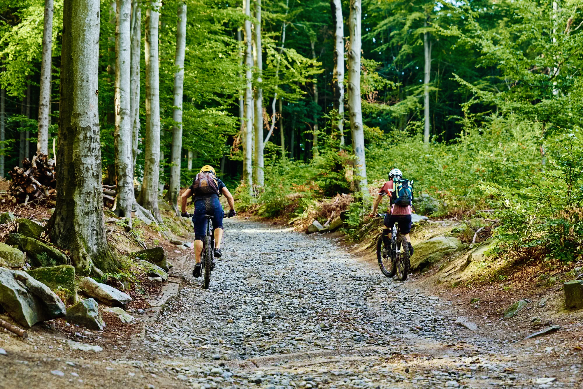 Atheletes ride on bike in mountain forest.