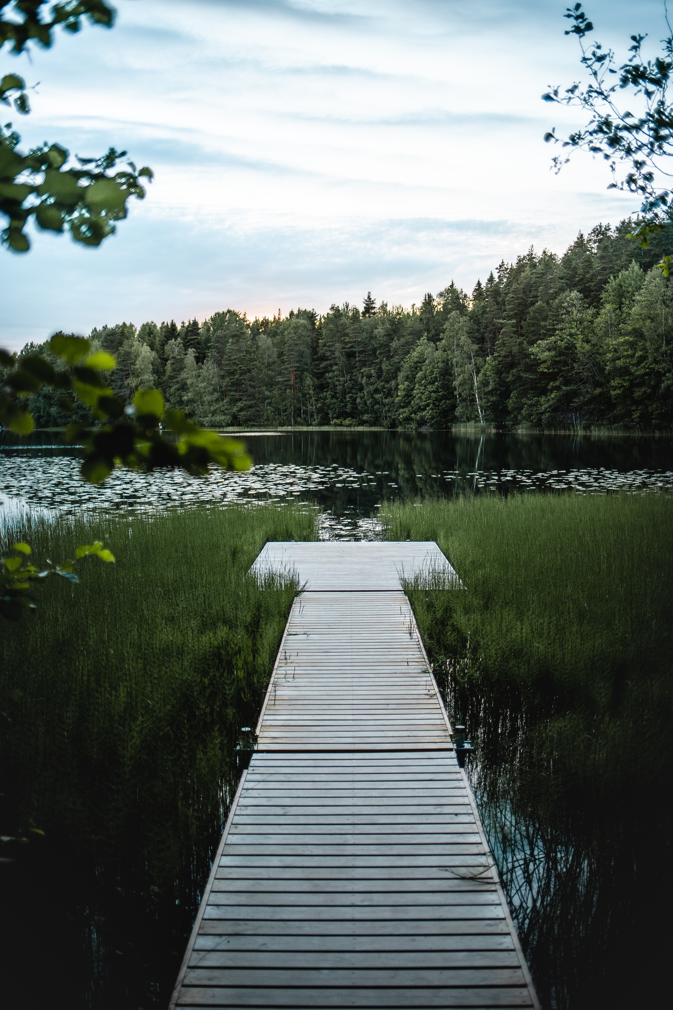 Vertical shot of a boardwalk in Nuuksio national park, Espoo, Finland